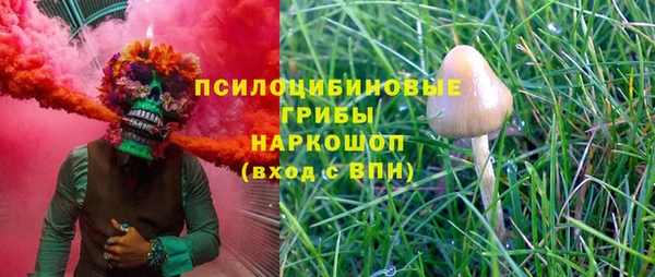 mix Арсеньев