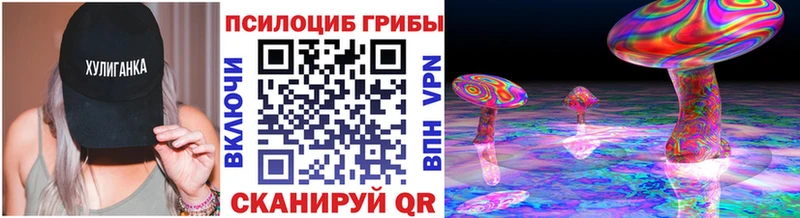 Псилоцибиновые грибы GOLDEN TEACHER  Прохладный 
